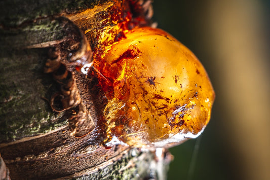 a close up of a fire