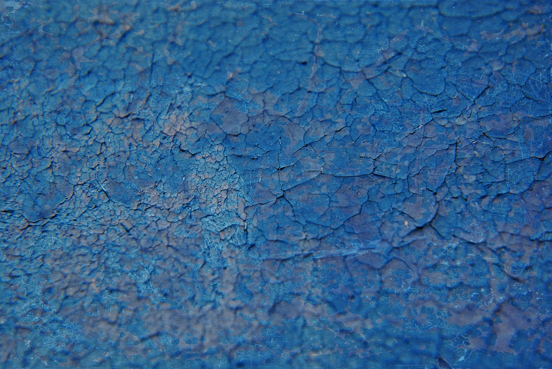 a close up of a leaf