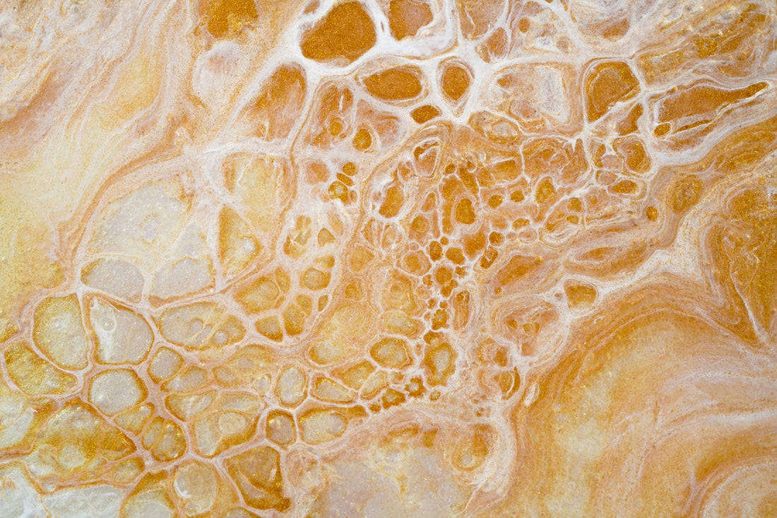 yellow and white floral textile