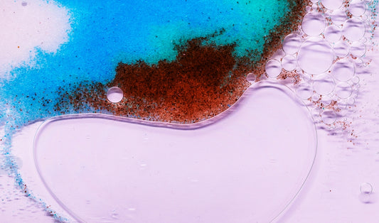 a close-up of a fish